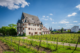 Schloss Schönborn 84/12824031